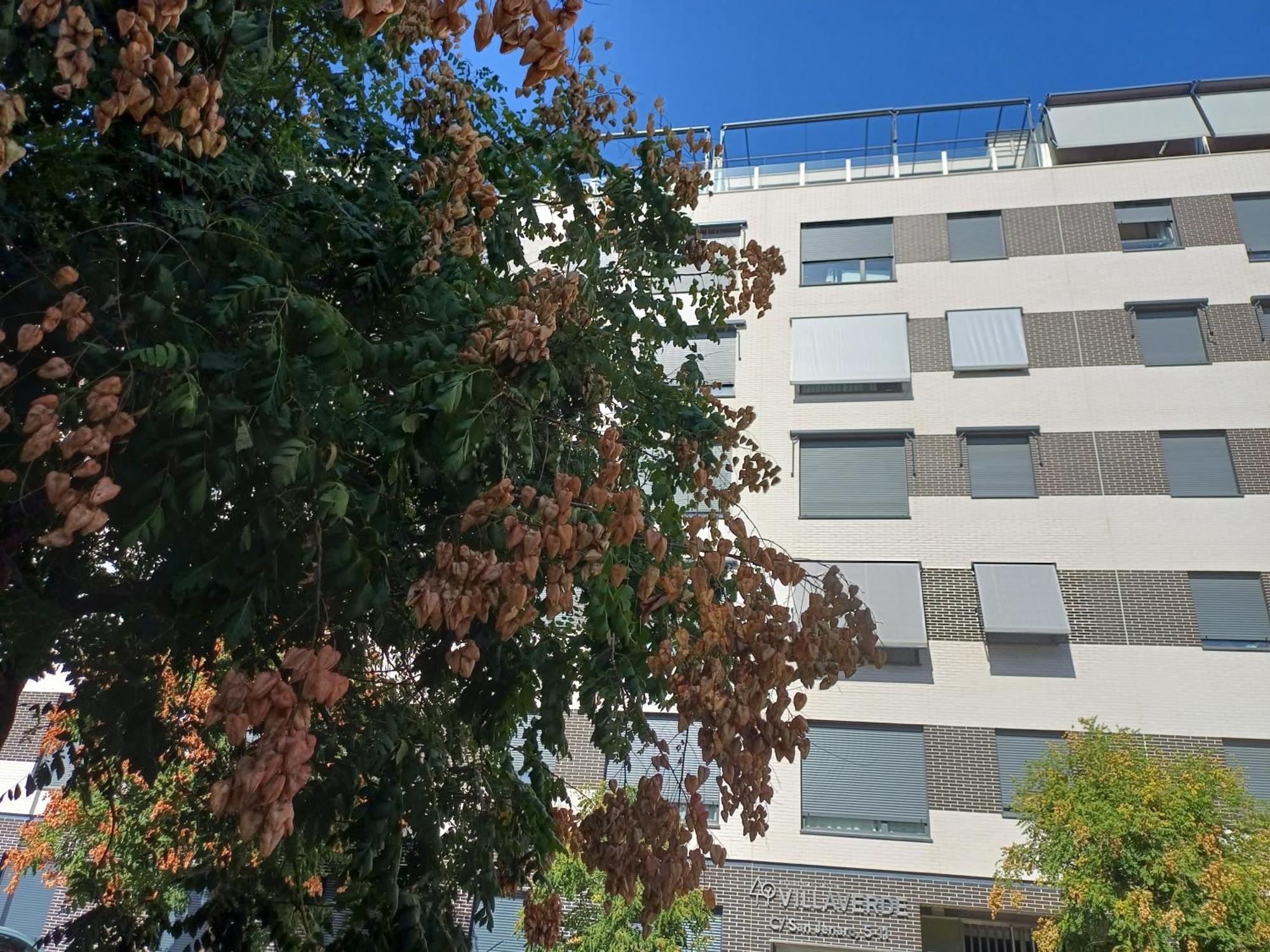 Apartamento Familiar Madrid Centro Apartment Exterior photo